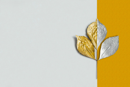 Silver and gold branch with leaves on two-color background. Approach of autumn. Minimal style. Original autumnal backgroundの写真素材