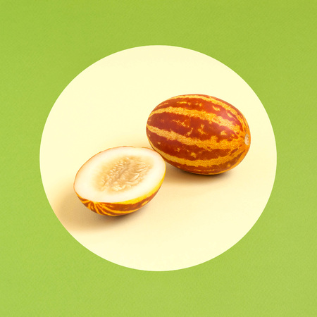 Melons with striped skin like watermelon on two-color background. Size of fruit is 2 inches. Hybrids, result of selection. Minimal style. Food concept of amazing fruits of plantsの写真素材