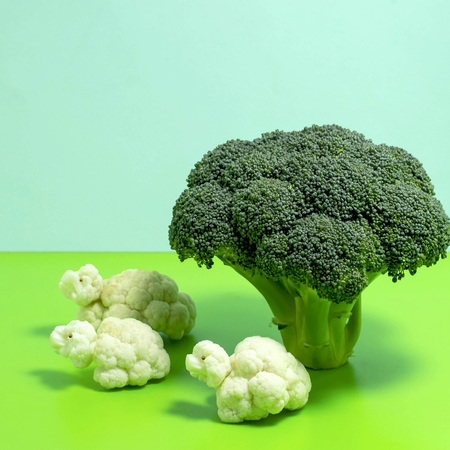 Broccoli as tree and sheep from cauliflower on two-color backgroundの写真素材