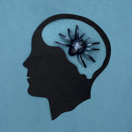 Stylized head silhouette. Spider in brain as symbol of arachnophobia. Concept of mental health and diseaseの写真素材