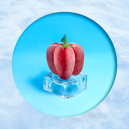 Frozen red pepper on ice cube in snow frame. Creative concept: quickly frozen fruits and vegetables retain freshness and vitamins. Minimal styleの写真素材