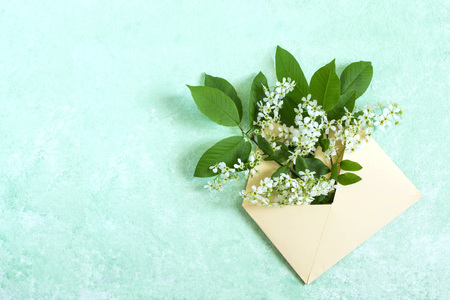 Envelope with blossoming branch of bird cherry. Concept of spring holidays. Congratulations on Women's Day, Mother's Day. Minimal styleの写真素材