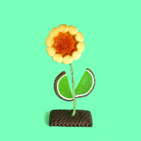 Flower of different types of cookies and candies. Creative sweet decor. Minimal style. Creative idea, imagination and fantasy. Original food conceptの写真素材