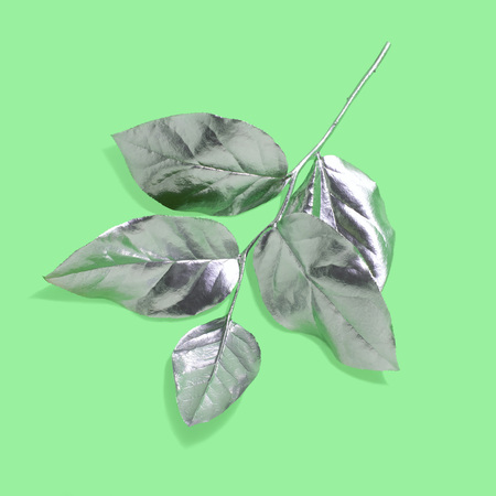 Silver branch with leaves close-up on green background. Fashionable color. Modern creative concept. Minimum styleの写真素材