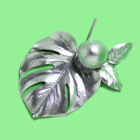 Silver leaf monstera and orange on green background. Trendy colors. Modern creative concept. Minimal styleの写真素材