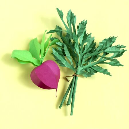 Colorful volumetric paper radish and parsley on paper plate. Paper art and craft. Trendy hobby. Creative, vegetarian, healthy or food art conceptの写真素材