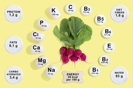 Vitamin and mineral composition in radish. Information about nutrients. Useful properties of radish. Main vitamins and minerals in healthy diet. Concept of diet and healthy foodの写真素材