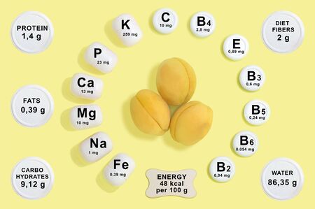 Vitamin and mineral composition in apricot. Information about nutrients. Useful properties of apricot. Main vitamins and minerals in healthy diet. Concept of diet and healthy foodの写真素材