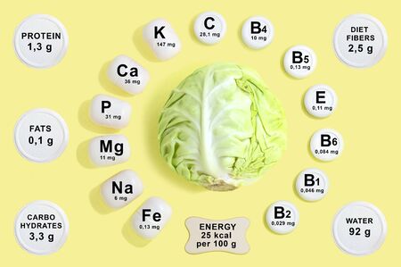 Vitamin and mineral composition in white cabbage. Information about nutrients. Useful properties of white cabbage. Main vitamins and minerals in healthy diet. Concept of diet and healthy foodの写真素材