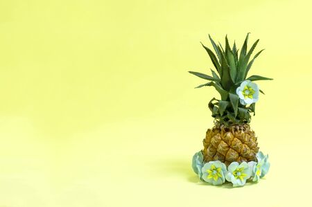 Pineapple decorated with paper flowers in style of Hawaiian party. Art concept of summer holidays and vacations. Bright color, summer accessories. Minimal styleの写真素材