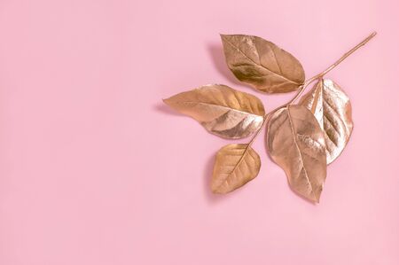 Golden pink branch with leaves on pink background. Fashionable color. Modern creative concept. Minimal styleの写真素材