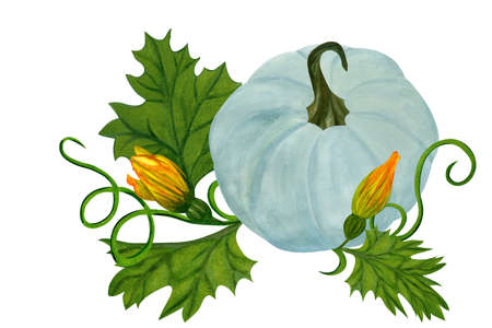 Watercolor composition with blue pumpkin, flowers and leaves. Hand painted watercolor illustration isolated on white background. Pumpkin harvest season. Autumn holidays Thanksgiving and Halloweenの写真素材