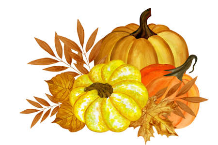 Watercolor composition with pumpkins and autumn leaves. Hand drawn watercolor illustration isolated on white background. Pumpkin harvest season. Autumn holidays Thanksgiving and Halloweenの写真素材