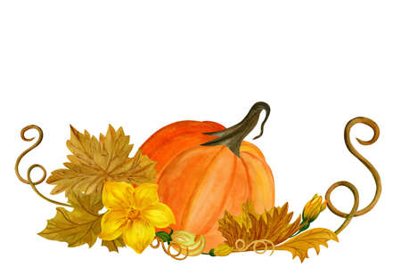 Watercolor composition with blue pumpkin, flowers and leaves. Hand painted watercolor illustration isolated on white background. Pumpkin harvest season. Autumn holidays Thanksgiving and Halloweenの写真素材