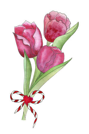 Watercolor bouquet of tulips tied with ribbon with heart. Hand drawn watercolor illustration for Valentine's Day, Mother's Day, Birthday, isolated on white backgroundの写真素材