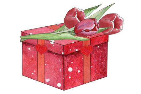 Gift box with bouquet of tulips. Hand drawn watercolor illustration for Valentine's Day, Mother's Day, Birthday, isolated on white backgroundの写真素材