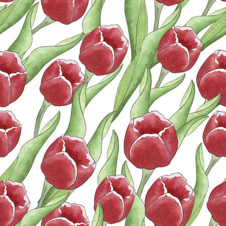 Seamless watercolor pattern with tulips based on hand drawn watercolor illustration. For backgrounds, wrapping paper, packaging, prints, covers, fabric, textiles, birthday, Valentine's Dayの写真素材