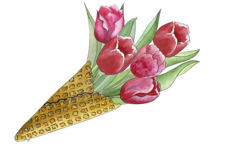 Bouquet of tulips in waffle cone. Hand drawn watercolor illustration for Valentine's Day, Mother's Day, Birthday, isolated on white backgroundの写真素材