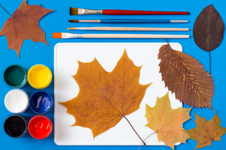 Hand-painted dry autumn maple leaves. Creative art project. Variants. Preparation of materialsの写真素材