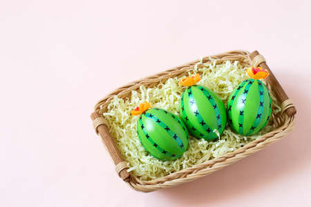 Creative Easter decor of cactus-shaped eggs in basket. Colorful cacti from eggs for souvenirs and Easter designの写真素材