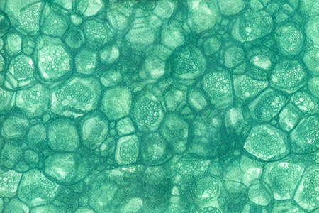 Abstract green background with stains of soap bubbles. Paper texture with effect of bubbles made by...