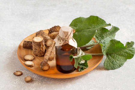 Medical plant burdock. Burdock roots and leaves, burdock oil in bottleの写真素材
