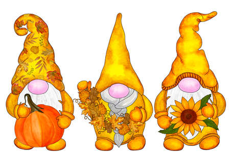 Three autumn fairy gnomes with pumpkins. Hand drawn watercolor illustration, clipart isolated on white background. Design for greeting cards, invitations, sublimation printingの写真素材