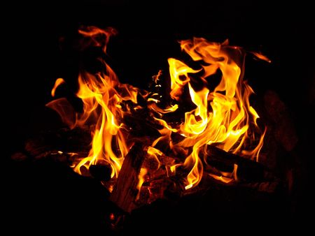 wild bonfire       