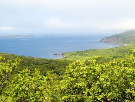 yacht cove on foggy dayの写真素材