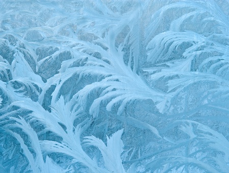 tree like fractal blue ice winter の写真素材