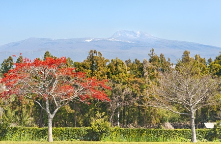 View of Hallasan mountain - symbol of Jeju-do island Korea