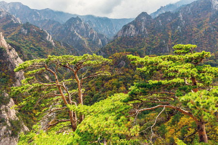 Seorak fall view in the morning light, Seoraksan National Park, South koreaの写真素材