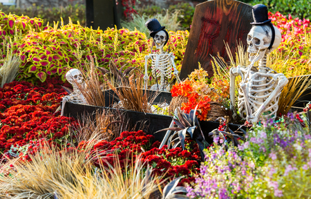 SEOUL, SOUTH KOREA - OCTOBER 25: Halloween party decorations at Everland Theme Park on OCTOBER 25, 2013 in Seoul, South Koreaのeditorial素材
