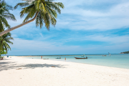 Beautiful beach landscape from Phangan island of Thailand. Palm trees over shallow sea water, idyllic beach scene. Summer holiday and vacation concept. Inspirational tropical beach.の写真素材