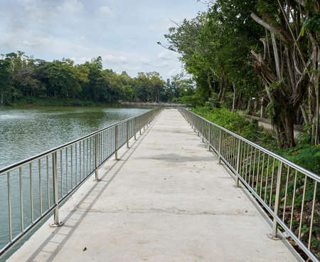 long white siemen walkway have railing beside pond and treeの写真素材