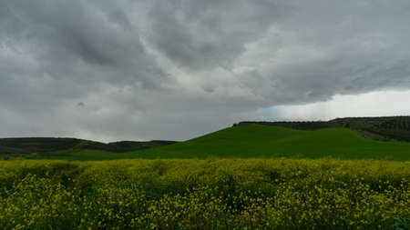 A meadow full of wind and rain in southern Italy.の写真素材