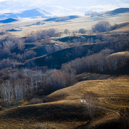 Taken from the grasslands of Inner Mongolia.の写真素材