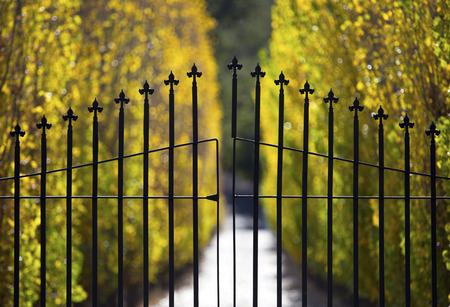 A closed wrought iron gate protects the entrance to an exclusive estate  の写真素材