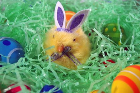 Easter chick wearing bunny ears.