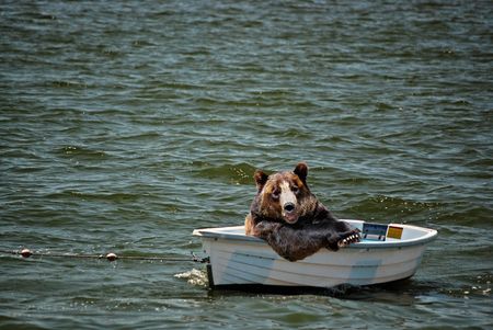 Happy bear in a dinghy.の写真素材