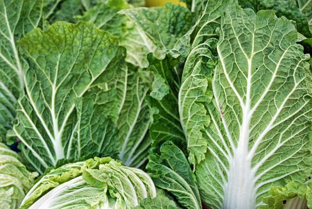 Fresh and crisp heads of lettuce.