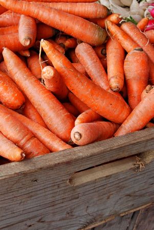 Crate of freshly picked carrots.の写真素材