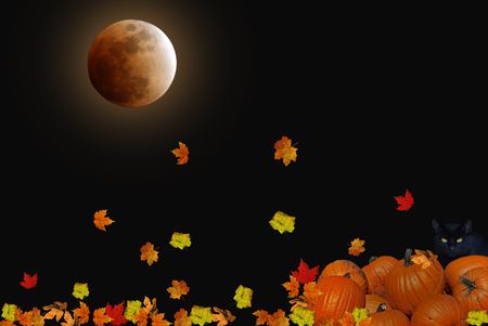 Black cat peeking over a pile of pumpkins under a harvest moon.