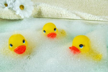 Rubber ducks floating in bubble bath bubbles.の写真素材