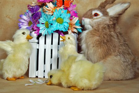 Bunny and ducklings with colorful daisies.の写真素材