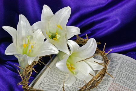 Easter lilies and crown of thorns on an open Holy Bible.の写真素材