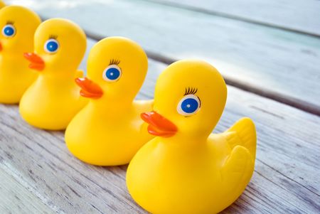 Bright rubber ducks in a row.の写真素材