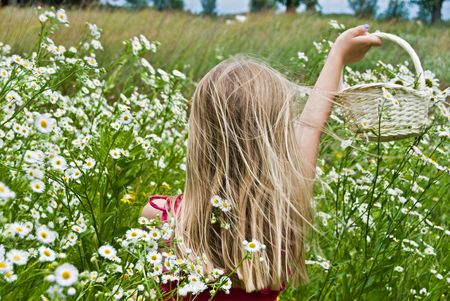 Little blond girl in a field of wild daisies.の写真素材