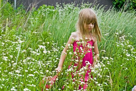Little girl walking in a summer meadow.の写真素材