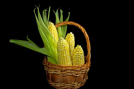 Sweet corn in a wicker basket.の写真素材